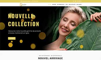 sitewebdesigner1