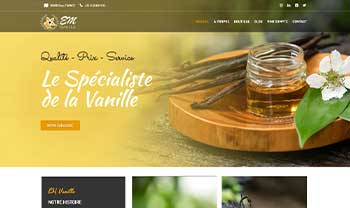 sitewebdesigner6